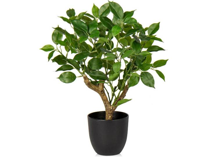 Kunstpflanze Ficus 43 cm Grün, Kunststoff, 43 cm, Dekoration, Blumen & Blumentöpfe, Kunstpflanzen