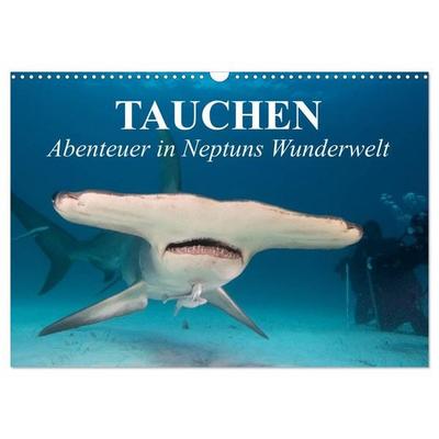 Tauchen - Abenteuer in Neptuns Wunderwelt (Wandkalender 2026 DIN A3 quer), CALVENDO Monatskalender