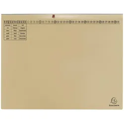 Exacompta Exaflex Premium Hängehefter Amtsheftung DIN A4 chamois