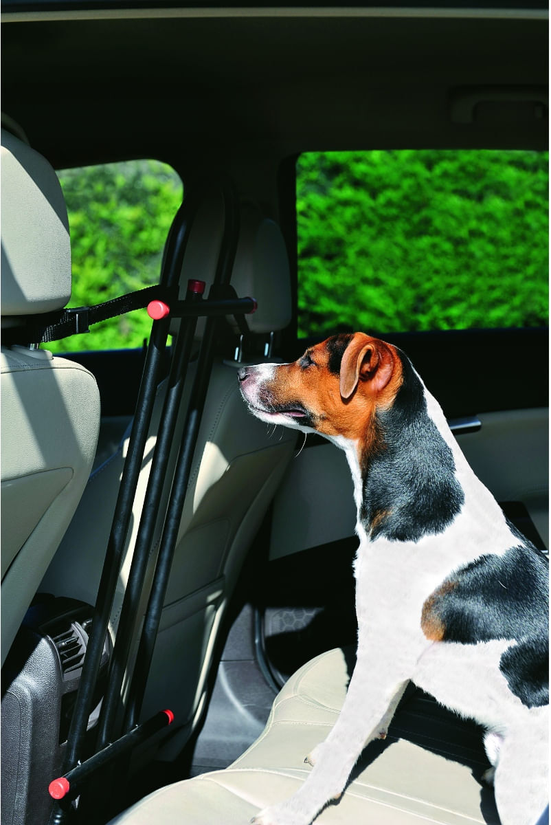 PET AROUND YOU Safety Car Divisorio Auto per Sedili 1 PZ
