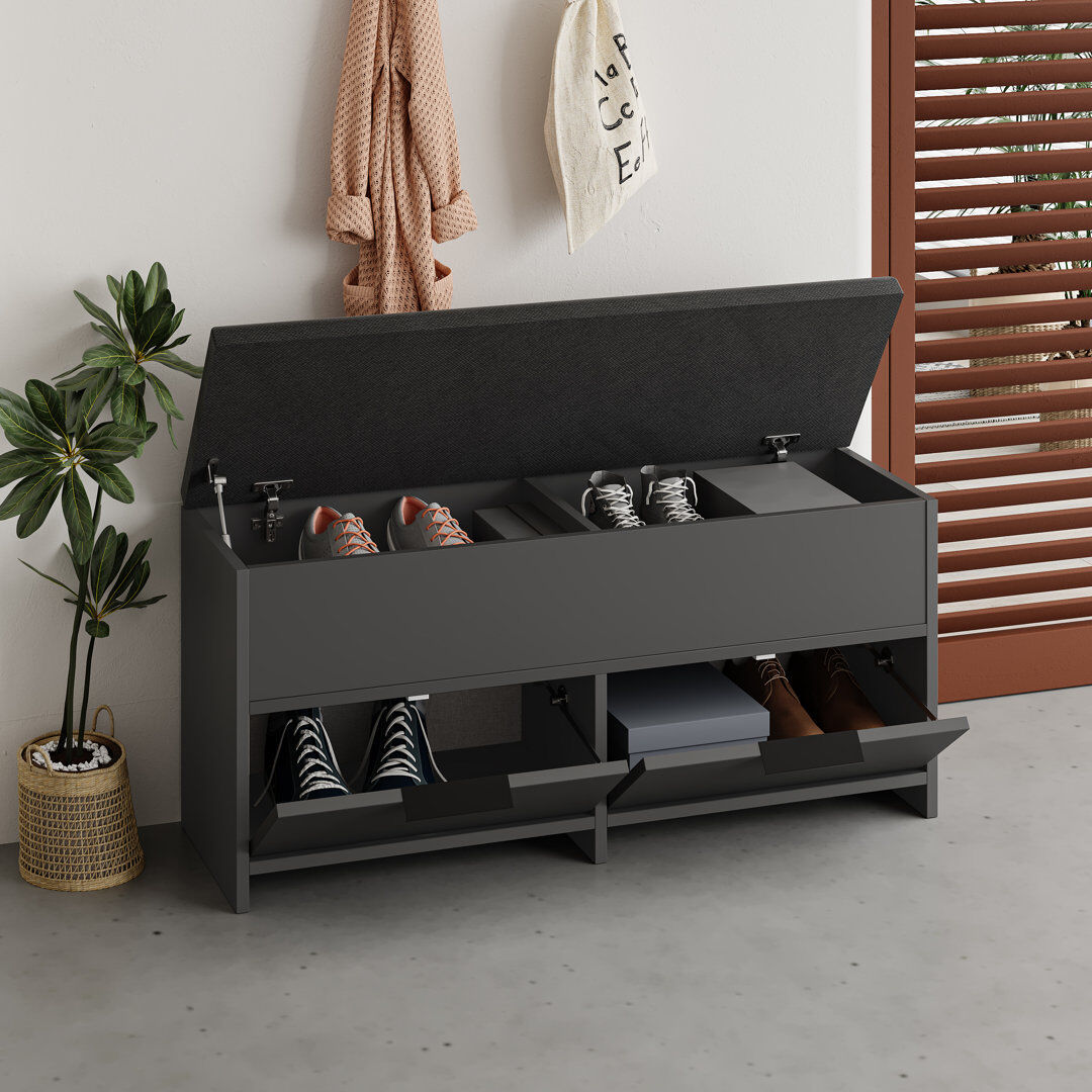 Latitude Run 8 Pair Shoe Storage Cabinet Antracite 8