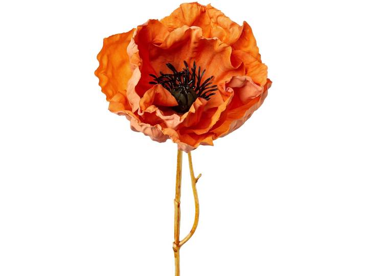 Kunstblume Mohn H51cm aprikose - Material: Kunststoff