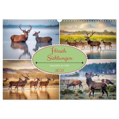Hirsch Sichtungen (Wandkalender 2027 DIN A3 quer), CALVENDO Monatskalender