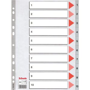 Esselte 100105 Register Kunststoff, 1-10, A4, 10-teilig, grau