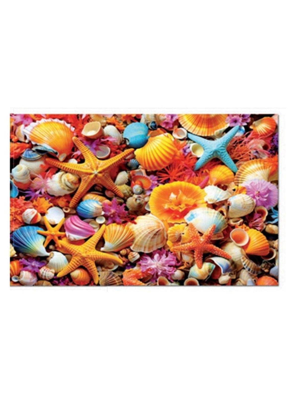 Educa 1000 Shell Collage