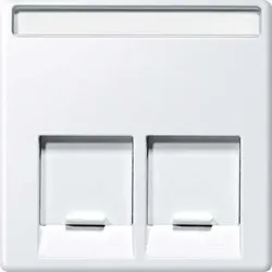 Merten Zentralplatte 2-fach polarws MEG4574-0419