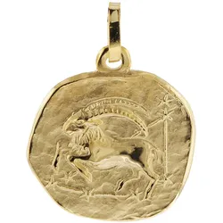 trendor 08725-01 Sternzeichen-Anhänger Steinbock 333 Gold 16 mm