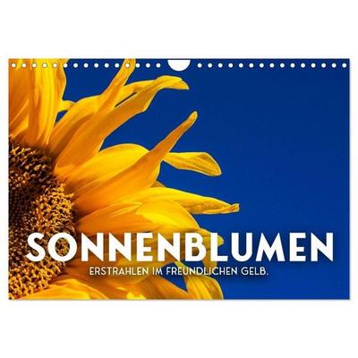 Sonnenblumen - Erstrahlen im freundlichen Gelb. (Wandkalender 2027 DIN A4 quer), CALVENDO Monatskalender
