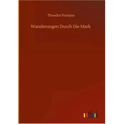 Theodor Fontane, Belletristik von Theodor Fontane