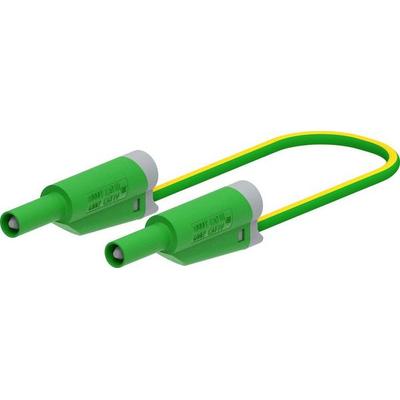 Electro PJP 2714-IEC-CD1-50V Messleitung 50cm Grün 1St.