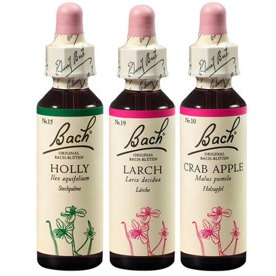 Bachblüten-Set Innere Balance 1 St Tropfen