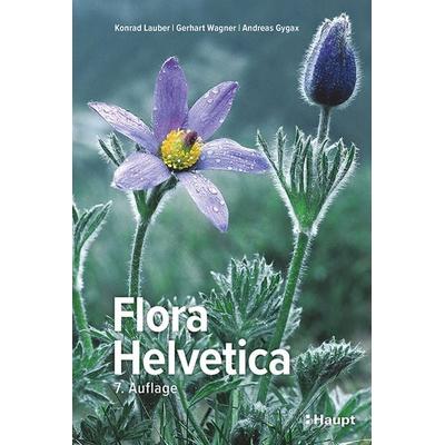 Flora Helvetica - Illustrierte Flora der Schweiz, Gebundene Ausgabe von Konrad Lauber,Gerhart Wagner,Andreas Gygax, Haupt Verlag, 978-3-258-08349-0