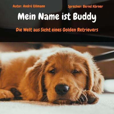 Mein Name ist Buddy - Die Welt aus Sicht eines Golden Retrievers - André Ullmann, Audio, 4069829142779