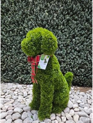 Greensmart Dekor Topiary Outdoor / Indoor - Green - N/A