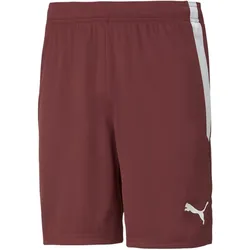 Puma, Herren, Sporthose, teamLIGA Shorts-704924 (XL), Rot
