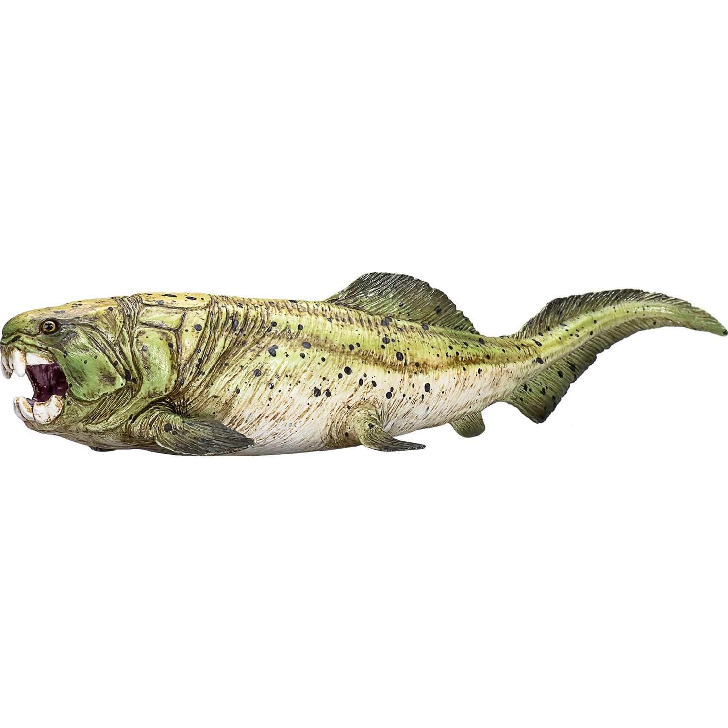 Animal Planet Dunkleosteus klein voetmodel