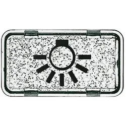Busch-Jaeger Tastersymbol Licht 2622 LI-101
