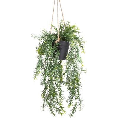 Künstliche Zimmerpflanze BOTANIC-HAUS "Asparagus-Hängeampel", grün, B:19cm H:46cm T:19cm Ø:19cm, Kunststoff, Kunstpflanzen, Künstliche Zimmerpflanze