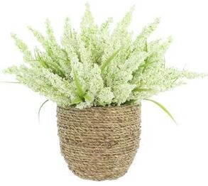 Creative Labs Heather in Strawgrass Pot - 12