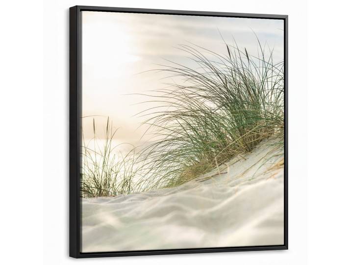 LEINWAND Bilder mit Rahmen - Dünen mit Strandhafer in der Sonne des Nationalparks Schleswig-Holsteinisches Wattenmeer - 50x50