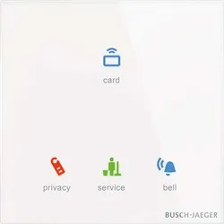 Busch-Jaeger Raumaussensensor TLM/U.1.11-CG