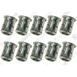 VAILLANT Mutter, Blindniet, (x10) Vaillant-Nr. 0020257871
