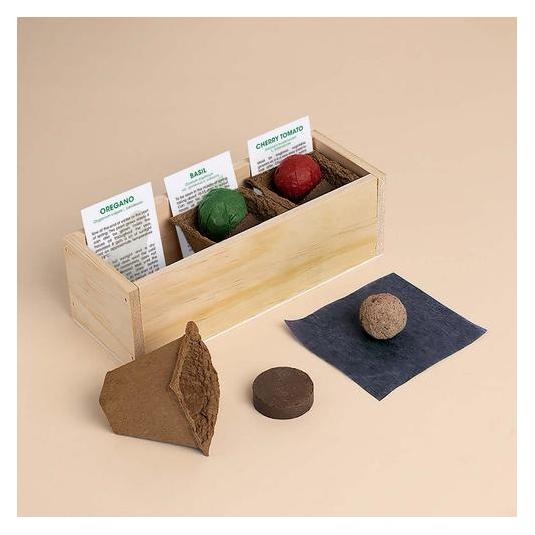 Resetea Kulinarisches Grow Kit "Pizza" (Erst162)