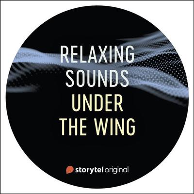 Under the Wing - Lukas Åkerberg Lundh, Audio, 9789178898107