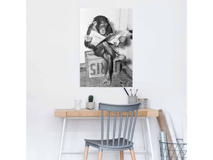 Poster Journal de Chimp Papier Noir 61 x 92 x 0cm