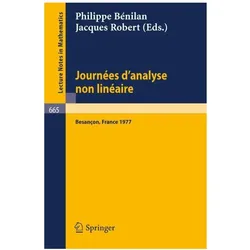 Journees d'Analyse Non Lineaire, Fachbücher von Robert, Philippe Bénilan
