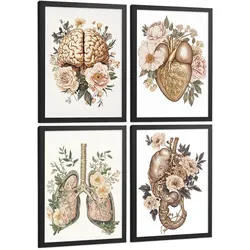 POSTER Set aus 4 Körper Anatomie Drucke mit Gehirn Herz Lungen Luftröhre Bronchien Nieren Verdauungssystem Magen Darm Größe Schwarzer Rahmen A3