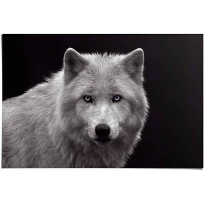 Poster REINDERS "Weißer Wolf", schwarz (farbe bild(er): schwarz), B:91,5cm H:61cm, Papier, Bilder, Poster