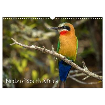 Birds of South Africa (Wall Calendar 2027 DIN A3 landscape), CALVENDO 12 Month Wall Calendar