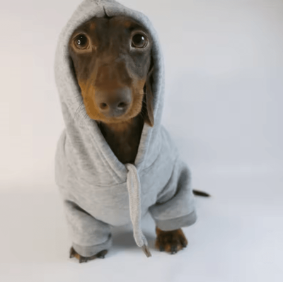 Inspire Curations Sausage Pup Cozy Hoodie For Small Dogs grey s