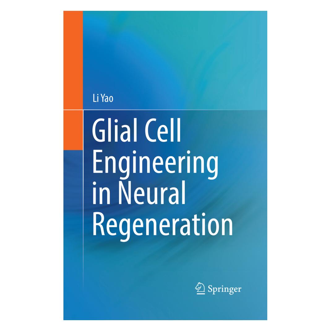 Springer Glial Cell Engineering in Neural Regeneration (Englisch, Softcover, Li Yao) (56114205)