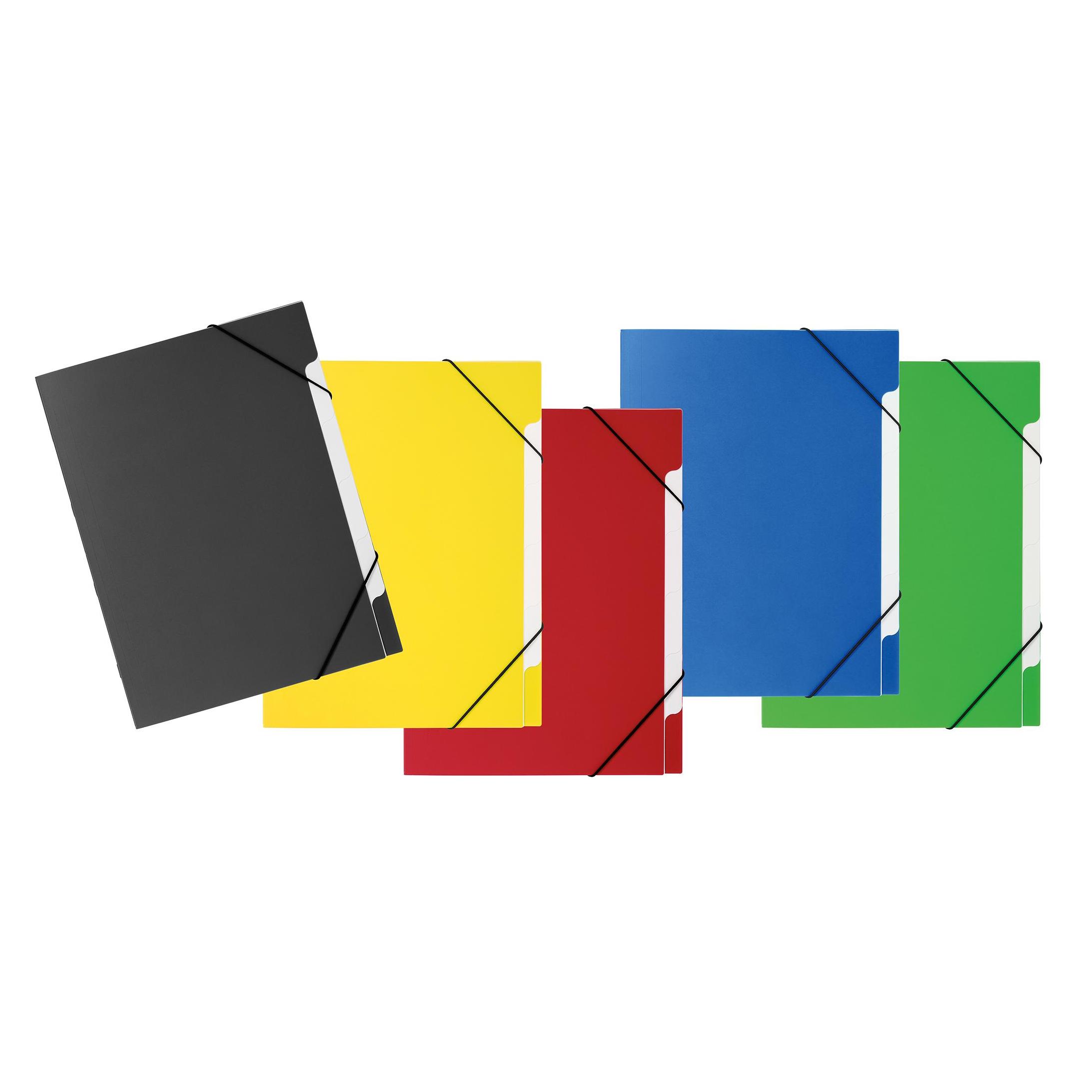 Pagna 5 Ordnungsmappe Basic 5 Fächer farbsortiert (A4) (41811-00)