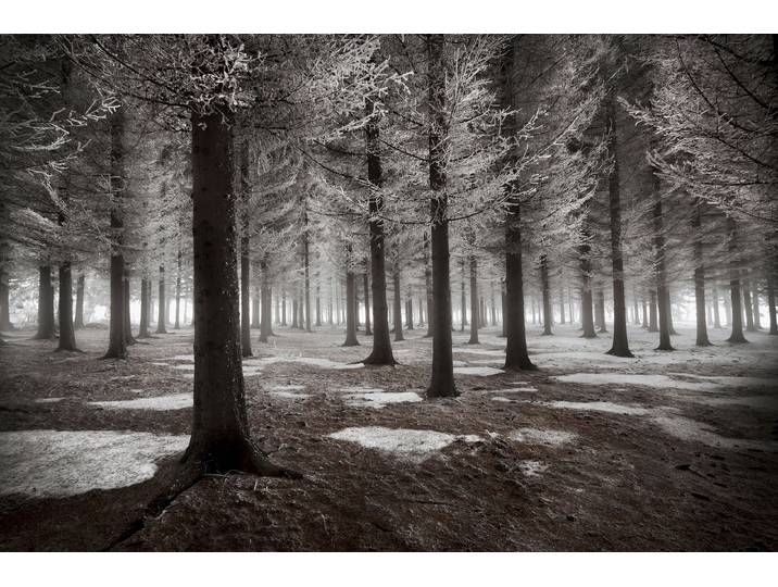 Fototapete PAPERMOON Photo-Art DRAGISA PETROVIC, DER BEGINN DES WINTERS , bunt, B:2,5m L:1,86m, Vlies, Tapeten, Fototapete