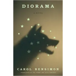 Diorama, Belletristik von Carol Bensimon