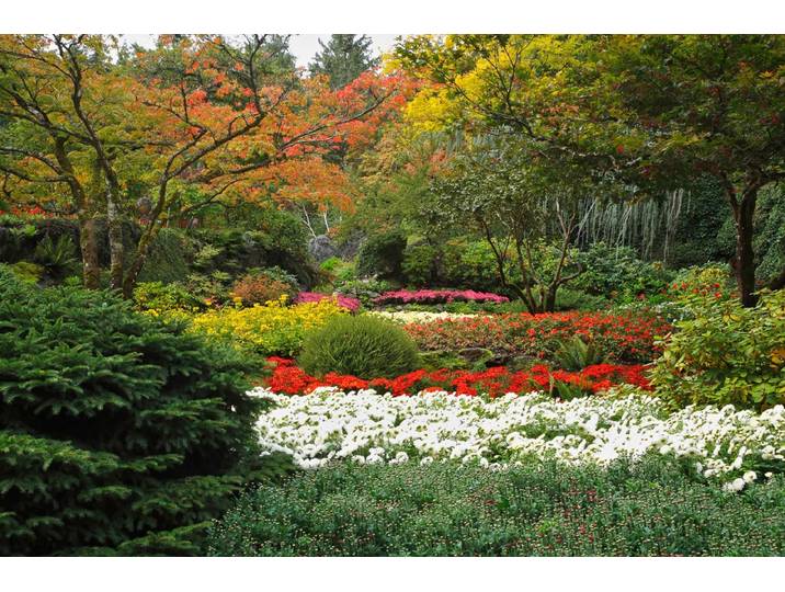 Papermoon Blumen Garten