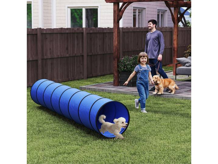 PawHut Tunnel Agility Chien 300x50cm avec Ancrages et Sac Bleu