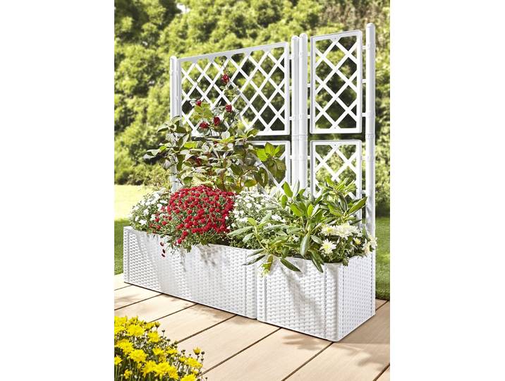 Pflanzkasten in moderner Rattan-Optik, Weiss, Pflanzkasten, groß, ohne Spalierwand