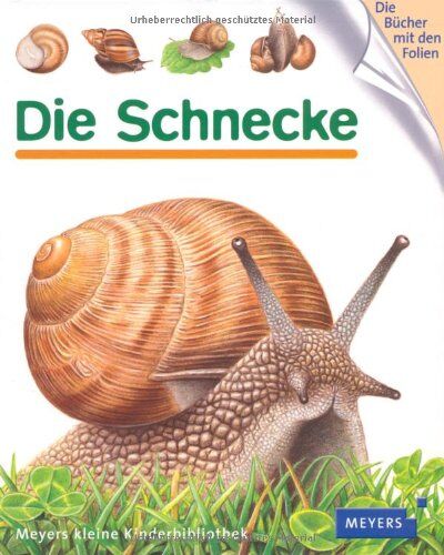 Friederike Naroska - Die Schnecke: Meyers Kinder- und Jugendbücher - Preis vom 13.10.2026 19:28:25 h