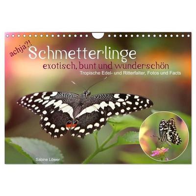 achja?! Schmetterlinge, exotisch, bunt und wunderschön (Wandkalender 2027 DIN A4 quer), CALVENDO Monatskalender