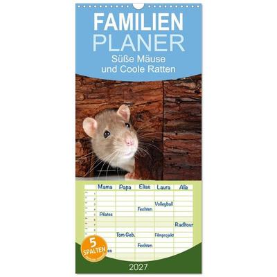 Familienplaner 2027 - Süße Mäuse und Coole Ratten mit 5 Spalten (Wandkalender, 21 x 45 cm) CALVENDO