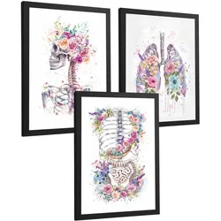 POSTER Set aus 3 Anatomie Drucke mit Skelett Schädel Wirbelsäule Rippen Lungen und Verdauungssystem Künstlerischer Größe Schwarzer Rahmen A3