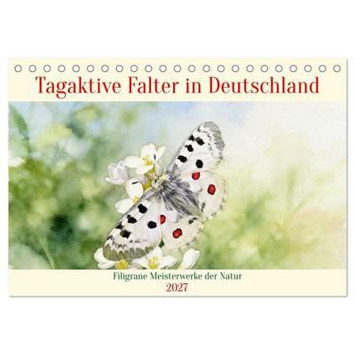 Tagaktive Falter in Deutschland (Tischkalender 2027 DIN A5 quer), CALVENDO Monatskalender