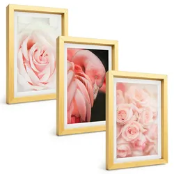 BILDER SET 3er Set - 20x30 cm Goldrahmen - Zartrosa Flamingos