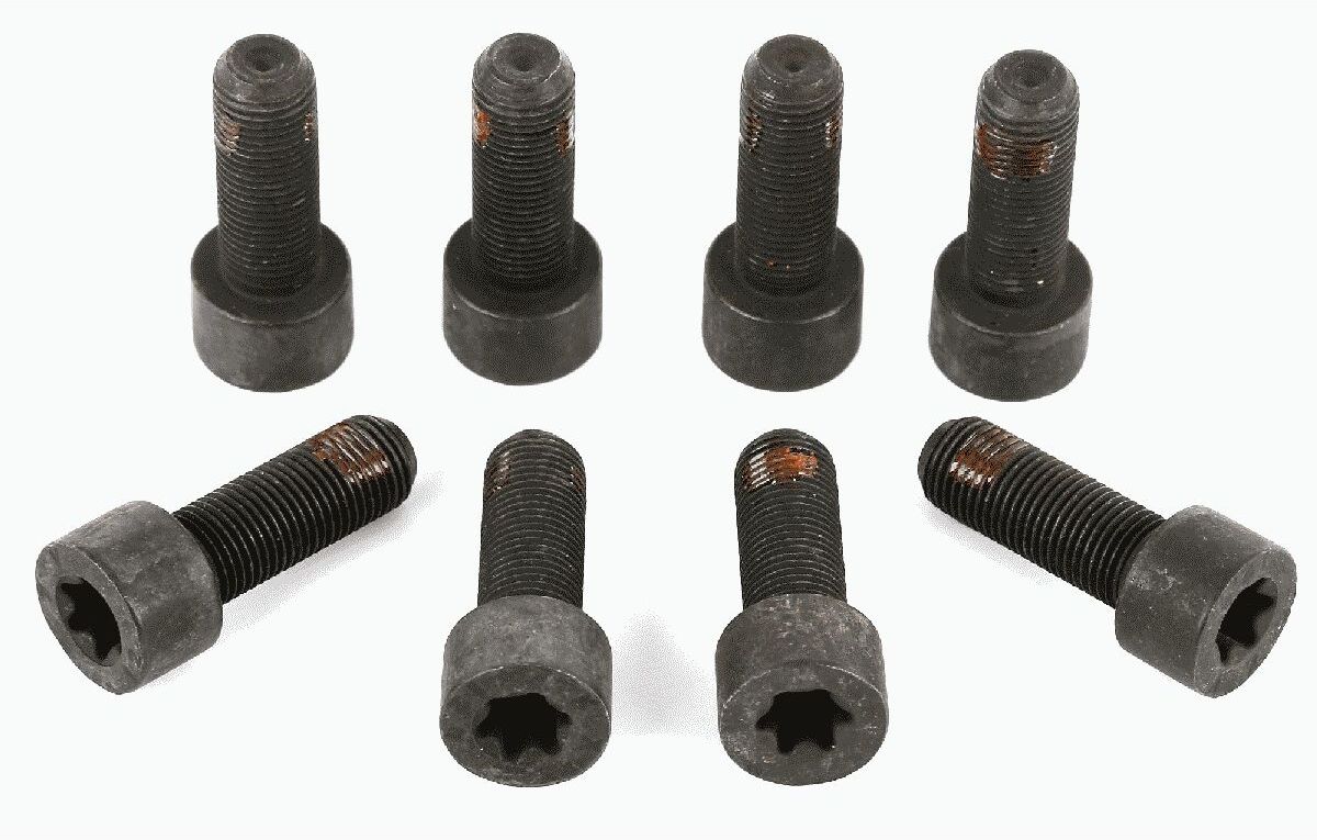 Sachs Set di viti, volano 1874 000 005