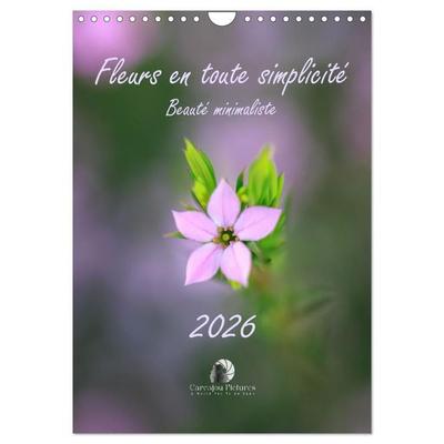 Fleurs en toute simplicité - Beauté minimaliste (Calendrier mural 2027 DIN A4 horizontal), CALVENDO calendrier mensuel
