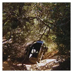 Indigo Press, Schallplatten, Possession (Ty Segall)